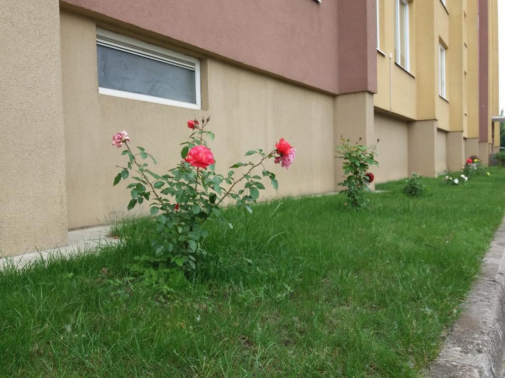 Butu Nuoma Siluteje Apartment Exterior photo